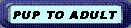 pupadult.gif