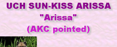 sun-kiss_girls001008.jpg