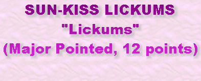 sun-kiss_girls001011.jpg