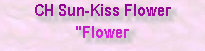 sun-kiss_girls003003.jpg
