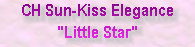 sun-kiss_girls003012.jpg